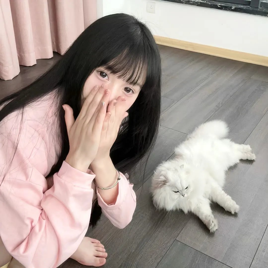 我的英雄学院：英雄崛起